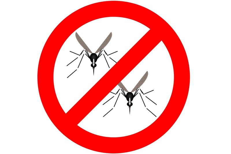 Anti Mosquito Anti Mosquito