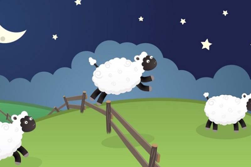 Sleep sheep Sleep sheep