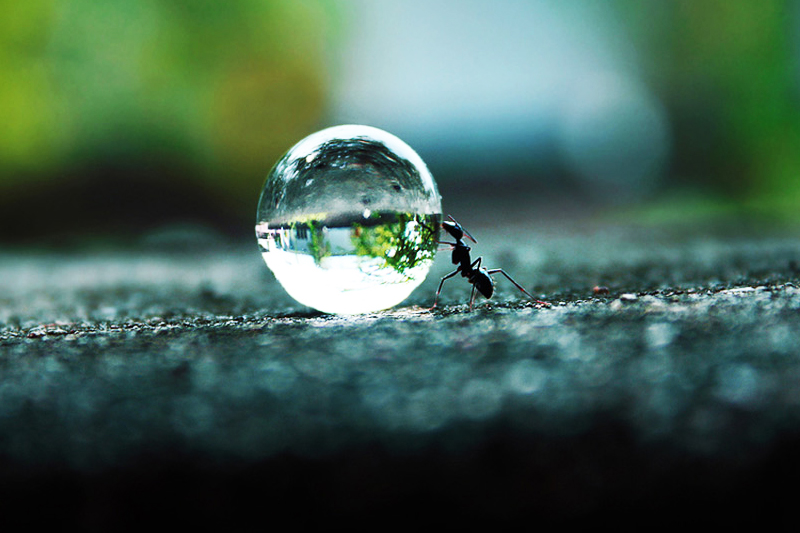 Prinsip dan Konsistensi Sumber : onebigphoto.com Prinsip dan Konsistensi Sumber : onebigphoto.com